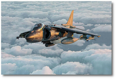 Bulldog Attack by Peter Chilelli - McDonnell Douglas (now Boeing) AV-8B Harrier
