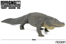 Rebor GNG08 1:6 American Alligator “Bizkit” Basking
