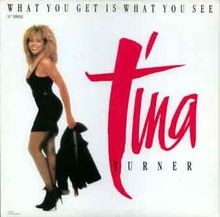 What you get is what you see (Ext. Dance Mix/Ext. Roc... | CD | Zustand sehr gut