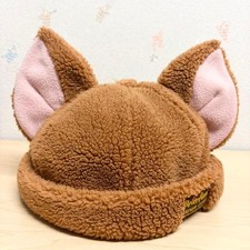 Tokyo Disney Resort Fantasy Springs Peter Pan Lost kids Fox hat cap Japan