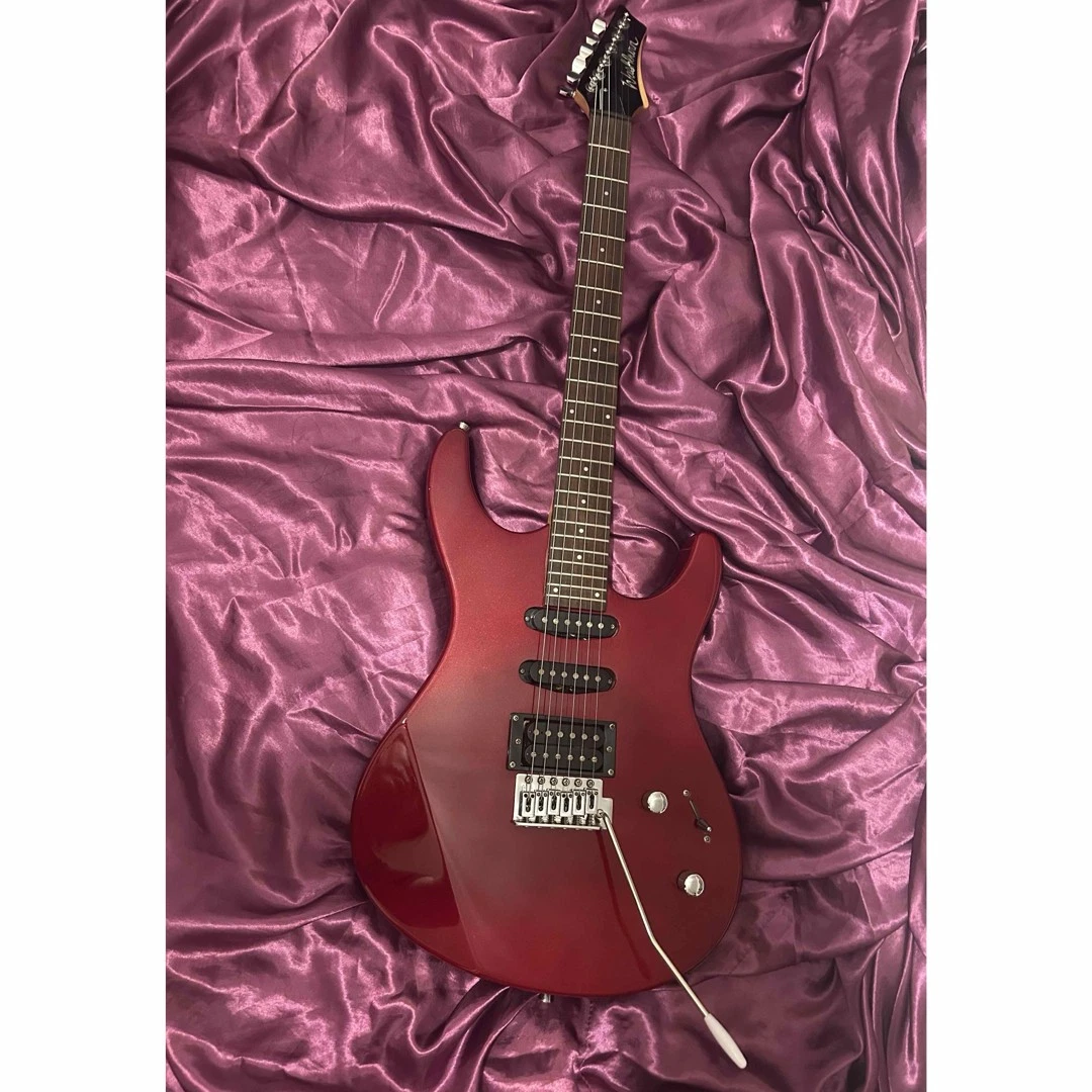 Washburn X Series Guitar | eBay