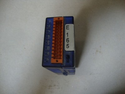 Saia-Burgess  Eingangsmodul (PCD3.E165) E165  mit stecker Gebraucht