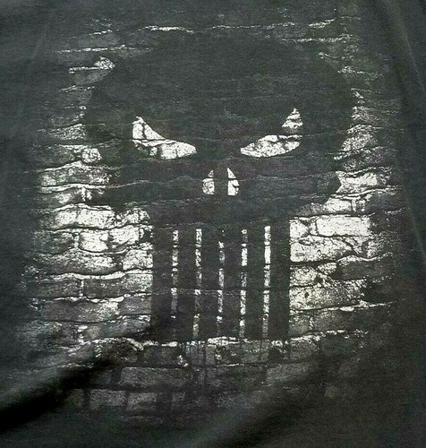 Camiseta negra para hombre Marvel Comics The Punisher Frank Castle (L) (T2J) - Imagen 5 de 5