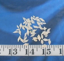~ Gar Scales ~50~ *MICRO* Natural Ivory/Cream ~ Shellcraft~ Sailor's Valentines~