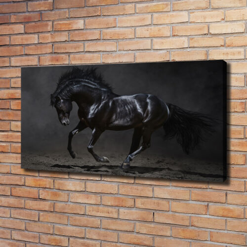 Arte de La Pared Pintura en Lienzo Decoración 120x60 Caballo negro - Imagen 1 de 6