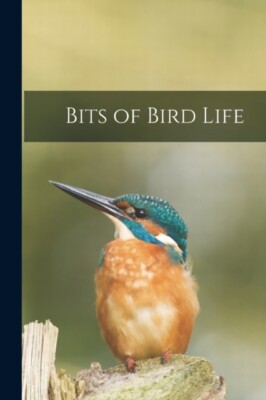 Anonymous - Bits of Bird Life - New paperback or softback - X555z