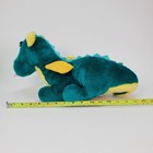 Foto 6 di 13