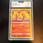 Sulfura Staff SWSH185 Stars étincelantes - PCA 9 - FR