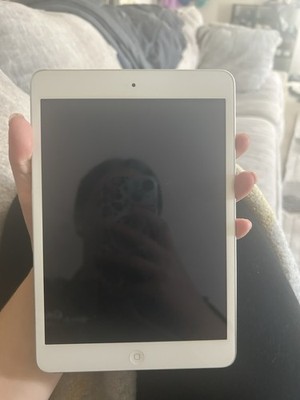 Brand New Works Mini iPad