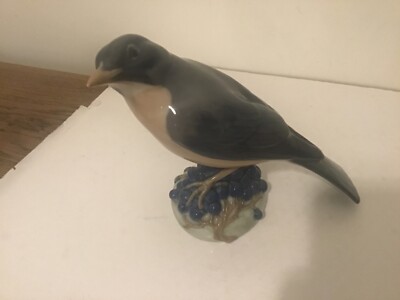 royal copenhagen Vogel Rotflügel Modellnummer 1245 Atemberaubend Top Zustand