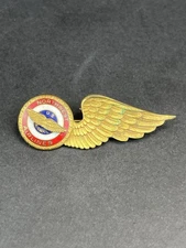 Vintage Northwest Airlines U.S. Airmail Wing Pin – Gold-Tone Ename