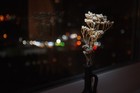 Picture 9 of 9