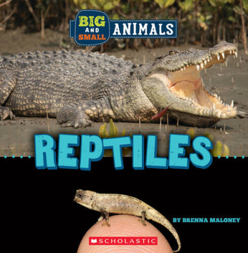 Reptiles (Wild World: Big and Small Animals) - Paperback - GOOD
