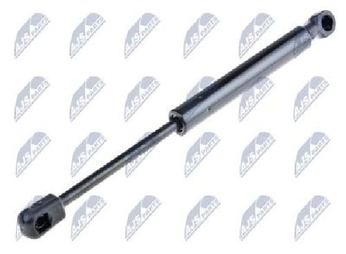 Nty Gas Spring Bonnet For L=265Mm, F=355N Renault Scenic Iii 09 - Image 12