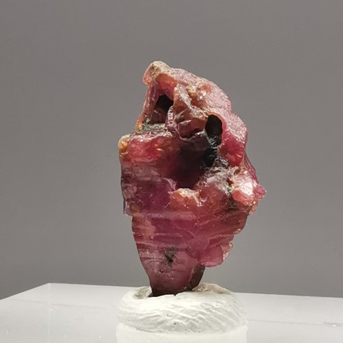 Rubino 7,11 ct / Luc Yen, Vietnam / pietra preziosa cristallo grezzo esemplare minerale - Foto 7 di 12