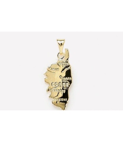 Pendentif Camée 20x14mm - Plaqué Or 18 Carats - Sans Nickel - Neuf Avec étiquettes
