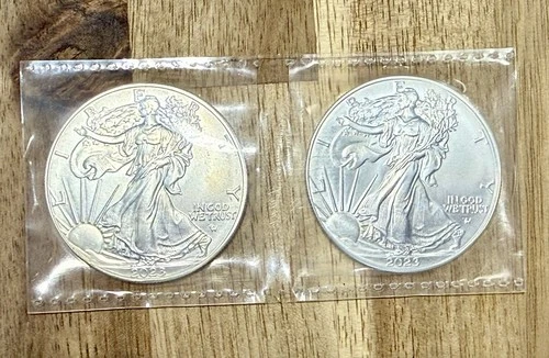 1923 American Eagle 2023 One Ounce Silver Lot of 2 Uncirculated Coins