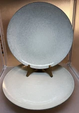 Set of 2 Project 62 Solene Blue Gray Stoneware Dinner Plates w/White Lines Speck