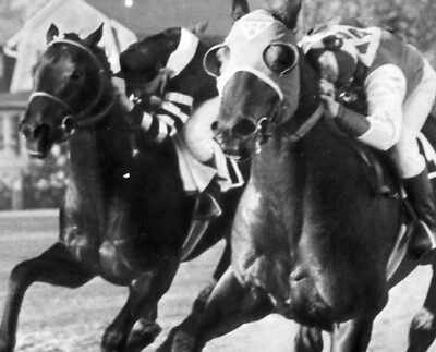 Seabiscuit vs War Admiral 8X10 Glossy Horse Racing Print