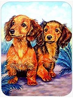 Caroline's Treasures Long Hair Red Dachshund Glass Cutting Board, Large, Multico on sale Caroline's Treasures Long Hair Red Dachshund Glass Cutting Board, Large, Multico on sale
