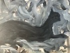 Bild 4 von 9