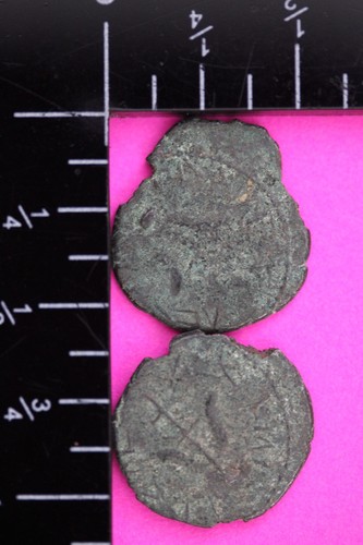 2 Belle Vedove Mite Monete Terra Santa Artefatto Esposizione Carta Permesso Esportazione COA @O928 - Foto 2 di 10