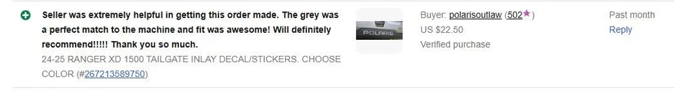 24-25 RANGER XD 1500 TAILGATE INLAY DECAL/STICKERS. CHOOSE COLOR - Image 3 of 3