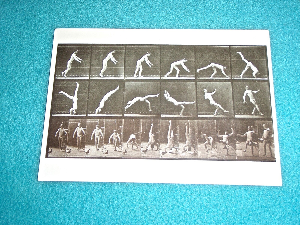 EADWEARD MUYBRIDGE POSTCARD ANIMAL LOCOMOTION 1887
