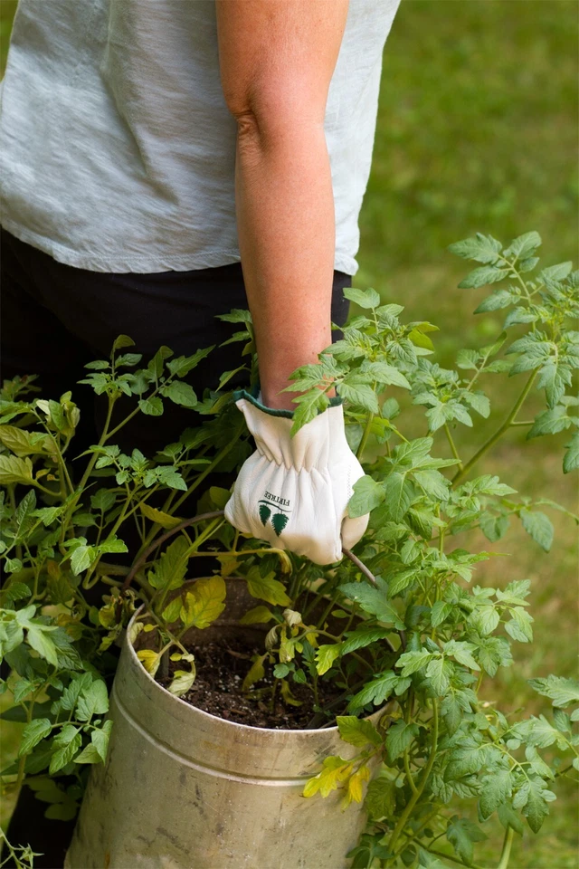 Garden Gloves Goatskin Leather By Fir Tree Brand - Image 3 of 4