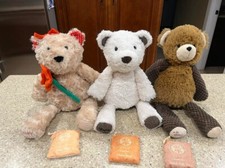 3 Scentsy Buddy Bears Barnabus Frost Poppy Scent Pak Camu Camu Autumn Sunset