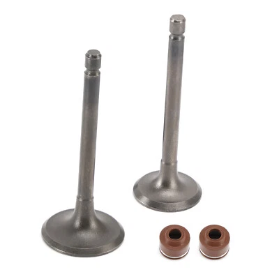 Soupape d'échappement + admission pour Yamaha YBR 125 TT-R 125 XT 125 R X - Photo 1/4