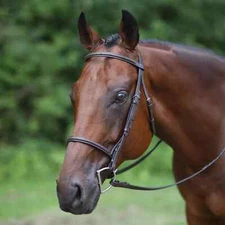 Premium Leather English Horse Bridle with Tack Set Available all Sizes