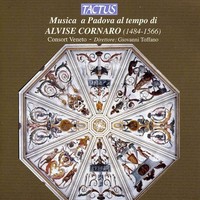 Audio Cd - Consort Veneto - Musica Al Tempo Di A. Cornaro - Tactus -D- Neu