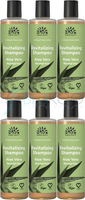 Urtekram Bio Aloe Vera Shampoo FüR Normales Haar - 250Ml (6Er Pack)