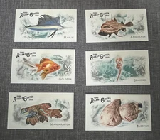 2025  Allen & Ginter - 50 Fishes from Global Waters Mini Inserts -30% off 4+