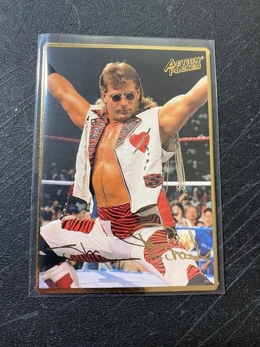 1994 WWF Action Packed PICK YOUR CARD - Wrestling Singles - Picture 1 of 24