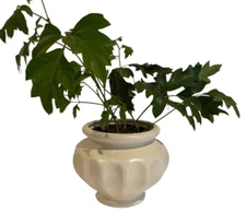 Vintage Haeger Pottery Hand Pressed for Florist Association Ivory Cream Glazed