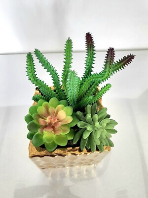 Artificial faux potted succulent houseplants home kitchen office occasion decor