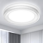 Bild 307 von 350