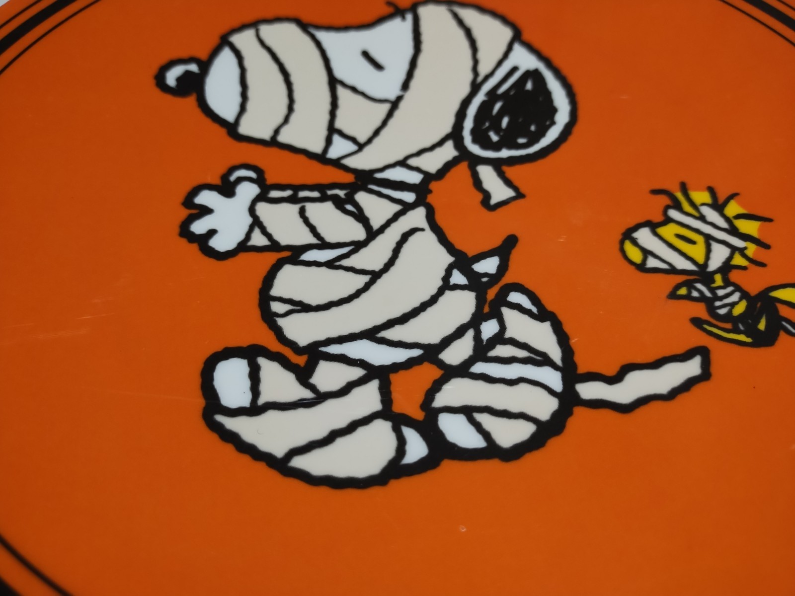 Picture 9 of 19