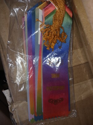Breyer Fun Day Ribbons Horse Show