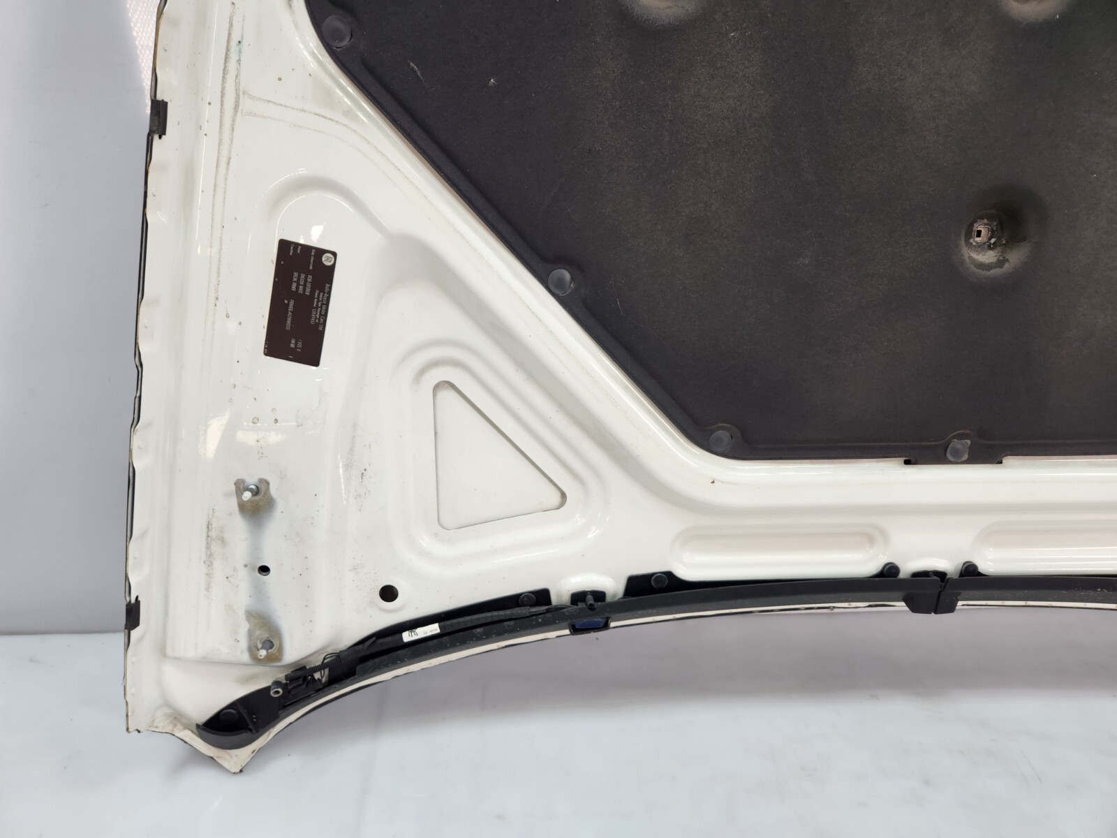 ✅ 10-14 OEM Rolls Royce Ghost RR4 Front Hood Bonnet Lid Panel Cover White NOTE*
