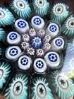 6 Art Glass Paperweights Millefiori Floral Murano Style Lot Vintage