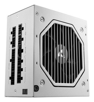 Sharkoon 4044951042401 Rebel P20 Power Supply Unit 750W 24-Pin ATX White ~E~