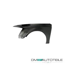 Kotflügel vorne links Aluminium passt für Audi A6 Avant, A6 (4F5, C6) 08-11 Kotflügel vorne links Aluminium passt für Audi A6 Avant, A6 (4F5, C6) 08-11