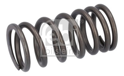 FEBI BILSTEIN Ventilfeder 187757 für DAF CF XF 2 LF 55 XG 85 105