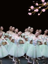 Romantic Tutu Ballet Costumes Velet Tulle Skating Dress Ballerina Lace-up Dress