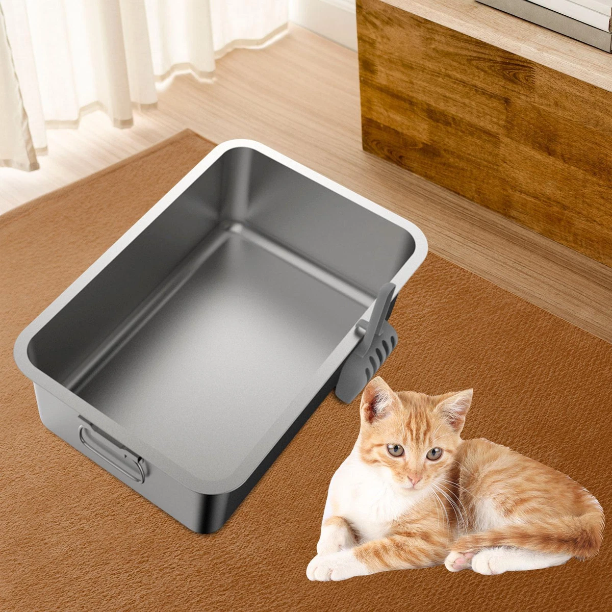 Small kitty hotsell litter box