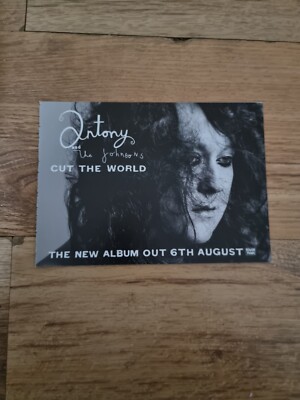 TNEWM39 ADVERT 5X8 ANTHONY & THE JOHNSONS: 'CUT THE WORLD' ALBUM