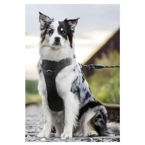 Dog Harness，Soft Massage Dog Vest Harness with Reflective X-Large Grey